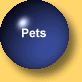 Pets